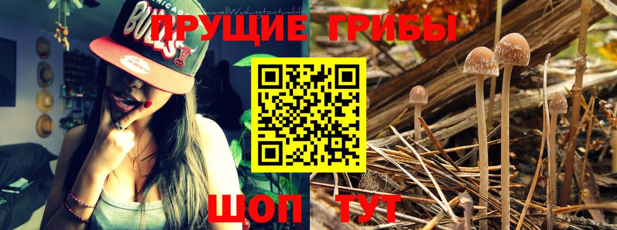 Галлюциногенные грибы ЛСД  Вход с VPN  Алушта  купить  сайты  Псилоцибиновые грибы мухоморы 