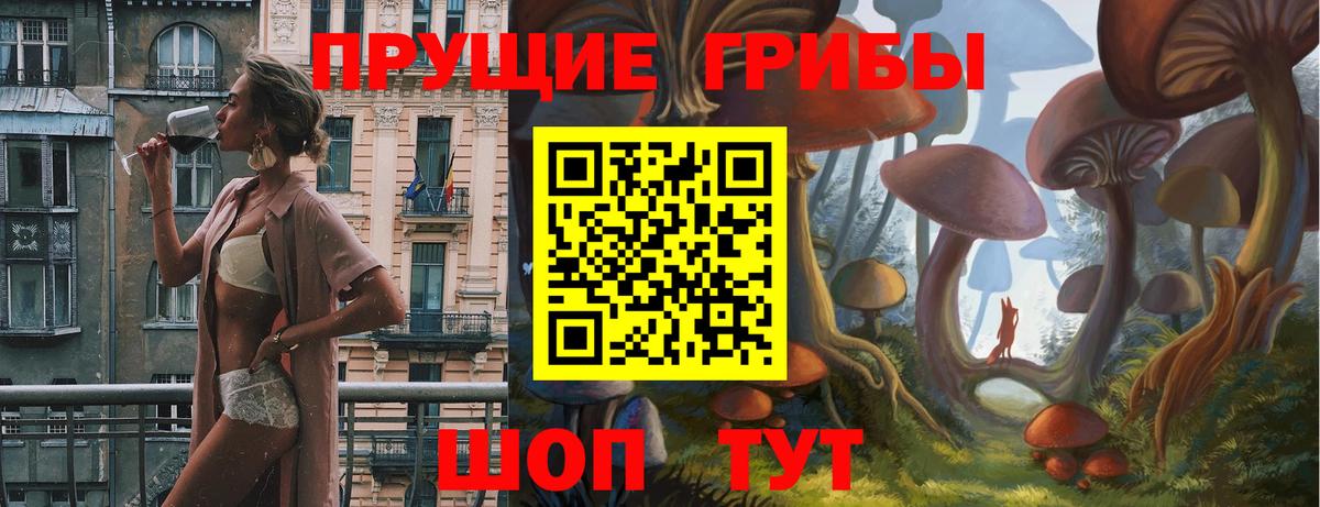 Галлюциногенные грибы Psilocybine cubensis Алушта